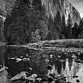 El Capitan Yosemite National Park
